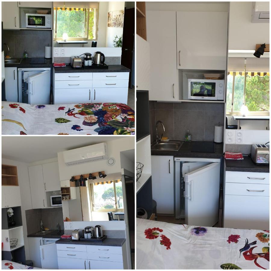 Garden And Beach Sea View Apartment Cannes Mandelieu La Napoule Bagian luar foto